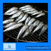 Proveedor de mariscos sardina fresca mariscos